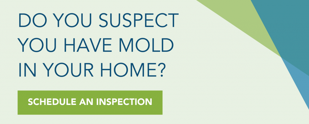 Do you suspect you have mold in your home? Schedule an inspection