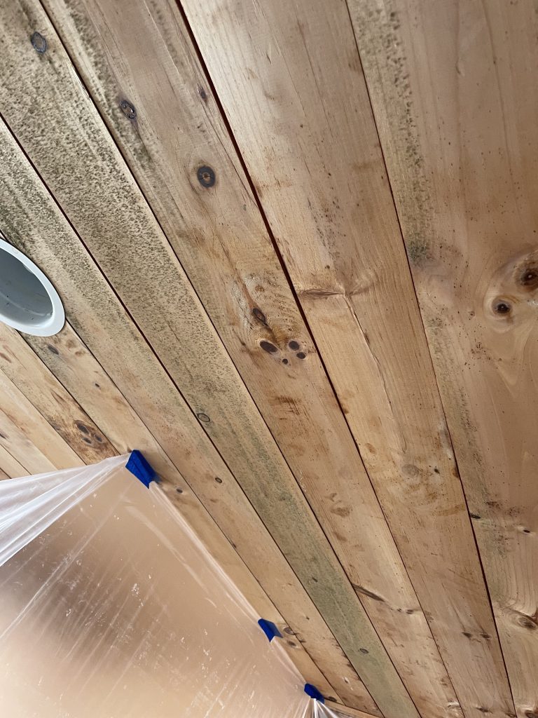 Mold on a pine ceiling