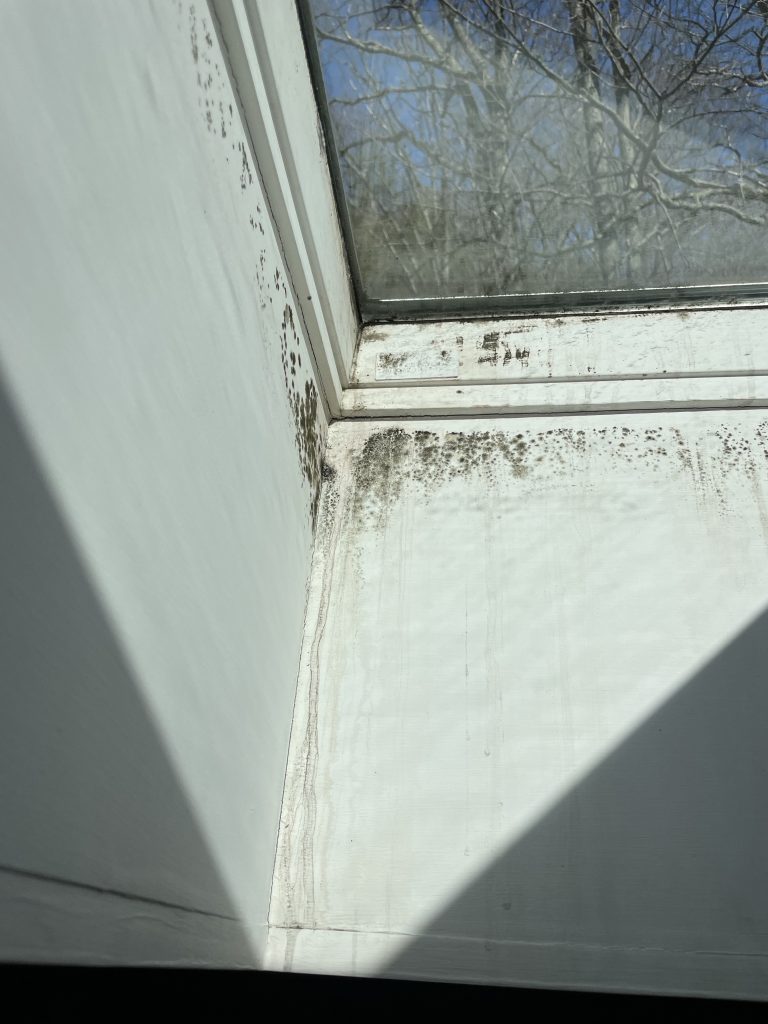 Mold on a skylight window frame