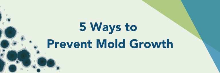 5 Ways to Prevent Mold Growth